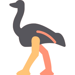 struisvogel icoon