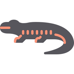Саламандра иконка