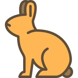 lapin Icône