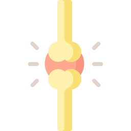 ostéoporose Icône