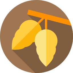 Leaves icon