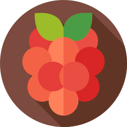 Berry icon