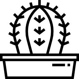 カクタス icon