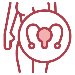 Uterus icon