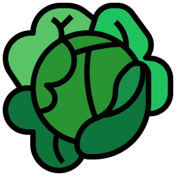 Cabbage icon