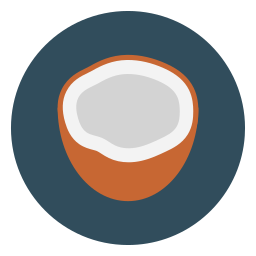 Coconut icon