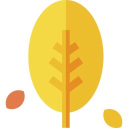 Dry leaf icon