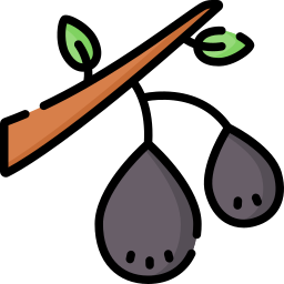 Figs icon