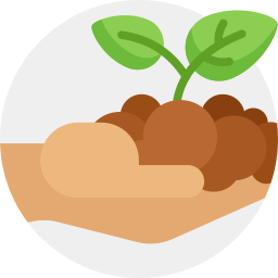 Sprout icon