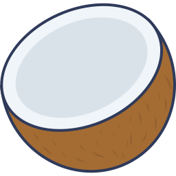 kokosnuss icon