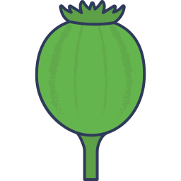 opium icoon