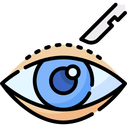 Eyelid icon