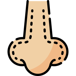 Rhinoplasty icon