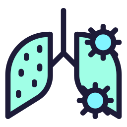 Lungs icon