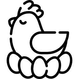 poule Icône