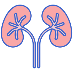 Kidneys icon