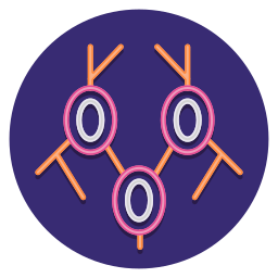 Lymph nodes icon