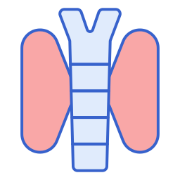 tiroide icona