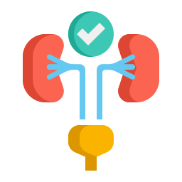 urologie icoon