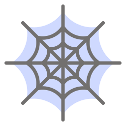 Spider web icon