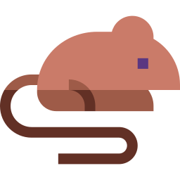 Rat icon