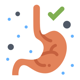 Stomach icon