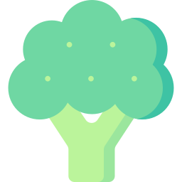 Broccoli icon