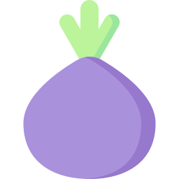 Onion icon