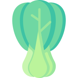 bok choy icon