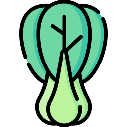 Bok choy icon