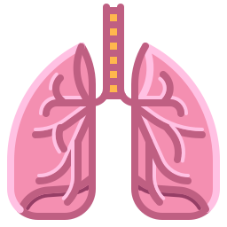 Human lungs icon