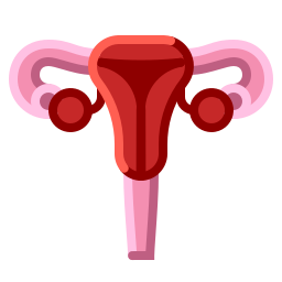 子宮 icon