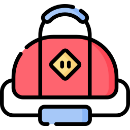 Gym bag icon