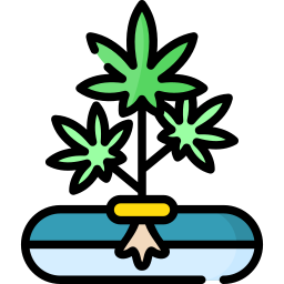 hidroponia icono