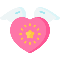 Heart wings icon