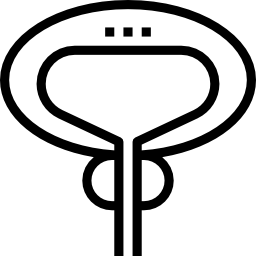 próstata icono