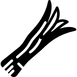 タマネギ icon