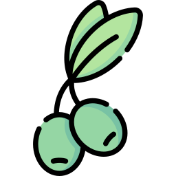 olive icon