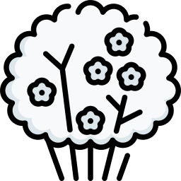 gypsophila icono
