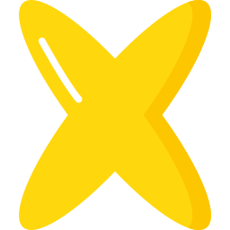 x icona