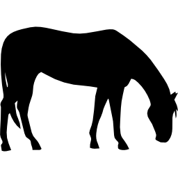 cavalo pastando silhueta negra Ícone