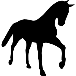 giovane siluetta nera del cavallo nella prospettiva icona