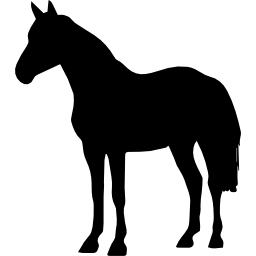 cavalo em pé forma negra Ícone