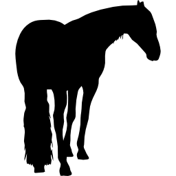 Лошадь черной формы с длинным хвостом иконка