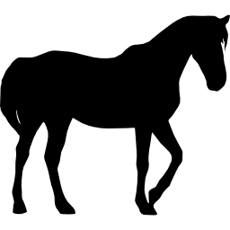 siluetta nera del cavallo icona