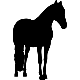 cavalo preto formato animal Ícone