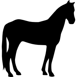 cavalo quieto silhueta negra Ícone