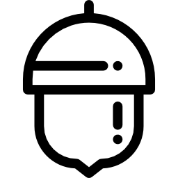 Acorn icon