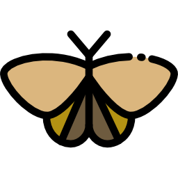 Moth icon