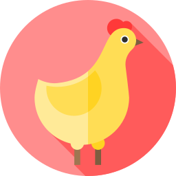 pollo icono